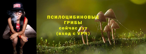 дживик Балабаново