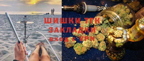 индика Армянск