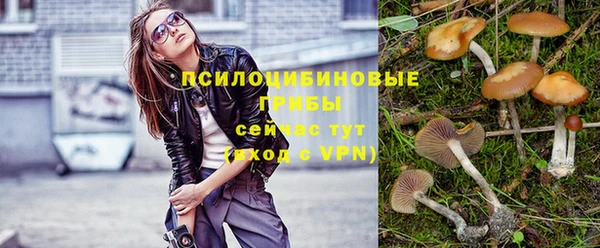 индика Армянск
