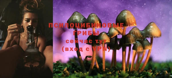 ПСИЛОЦИБИНОВЫЕ ГРИБЫ Балахна